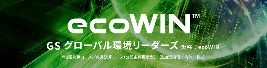 GS グローバル環境リーダーズ 愛称：ecoWIN